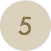 Etapa 5