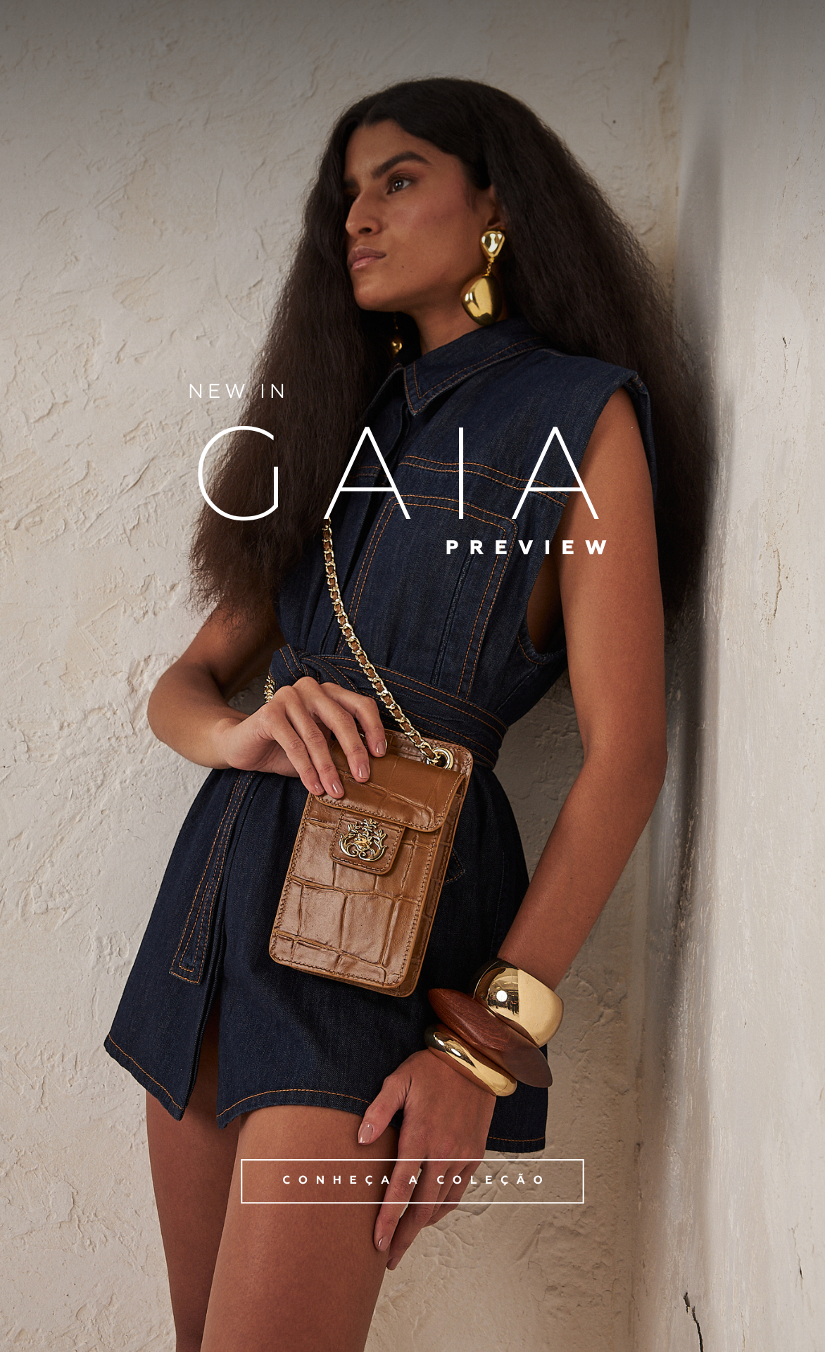 PREVIEW GAIA